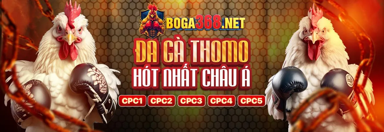 Máy đánh bạc K9CC Login